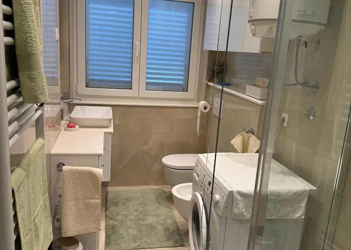 Crassula Aurea Apartment