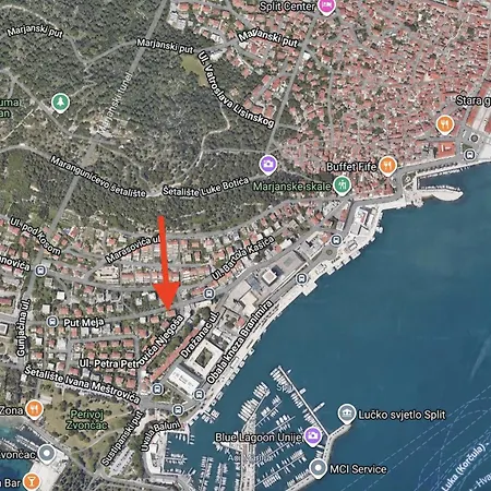 아파트 Crassula Aurea *