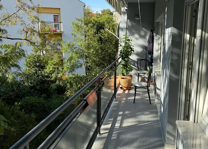 Crassula Aurea Спліт